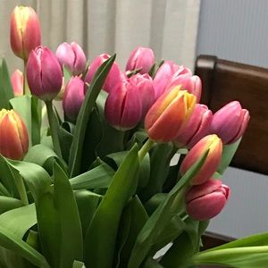 Meet your Posher, Tatsiana